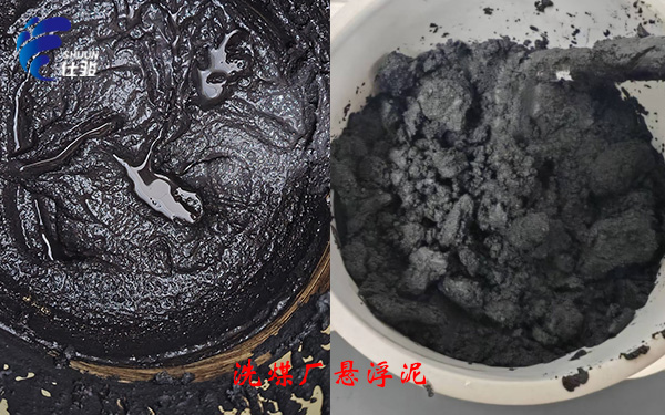 青島仕駿-污泥調(diào)理劑,污泥脫水增效劑制造商 青島仕駿-污泥調(diào)理劑,污泥脫水增效劑制造商