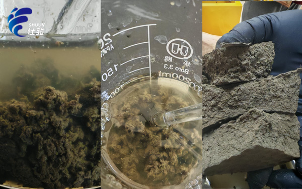 青島仕駿-污泥調理劑,污泥脫水增效劑制造商 青島仕駿-污泥調理劑,污泥脫水增效劑制造商