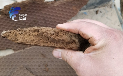 造紙廠生化污泥脫水可以使用什么調(diào)理劑-青島仕駿