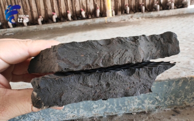 新型污泥調理劑的成分及使用方法