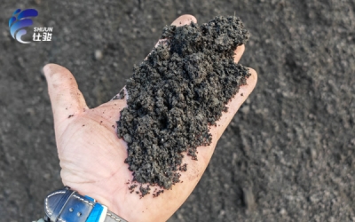 不同行業(yè)污泥在使用調(diào)理劑時有哪些特殊要求-青島仕駿