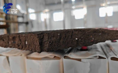 污泥增效劑助力環保事業，提高脫水效率、縮短周期-青島仕駿