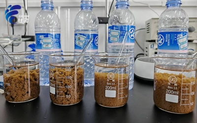 污泥脫水選對(duì)藥劑很關(guān)鍵,污泥增效劑助您高效處理-青島仕駿