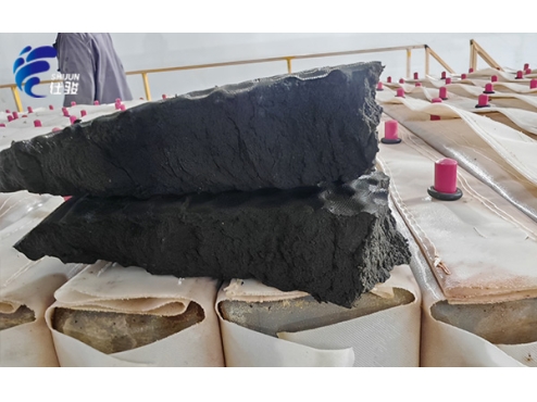 污泥脫水如何選擇合適的污泥調理劑-青島仕駿