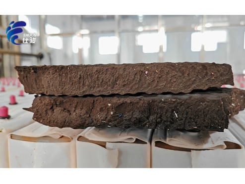 降低板框壓濾機壓泥的營運成本-青島仕駿